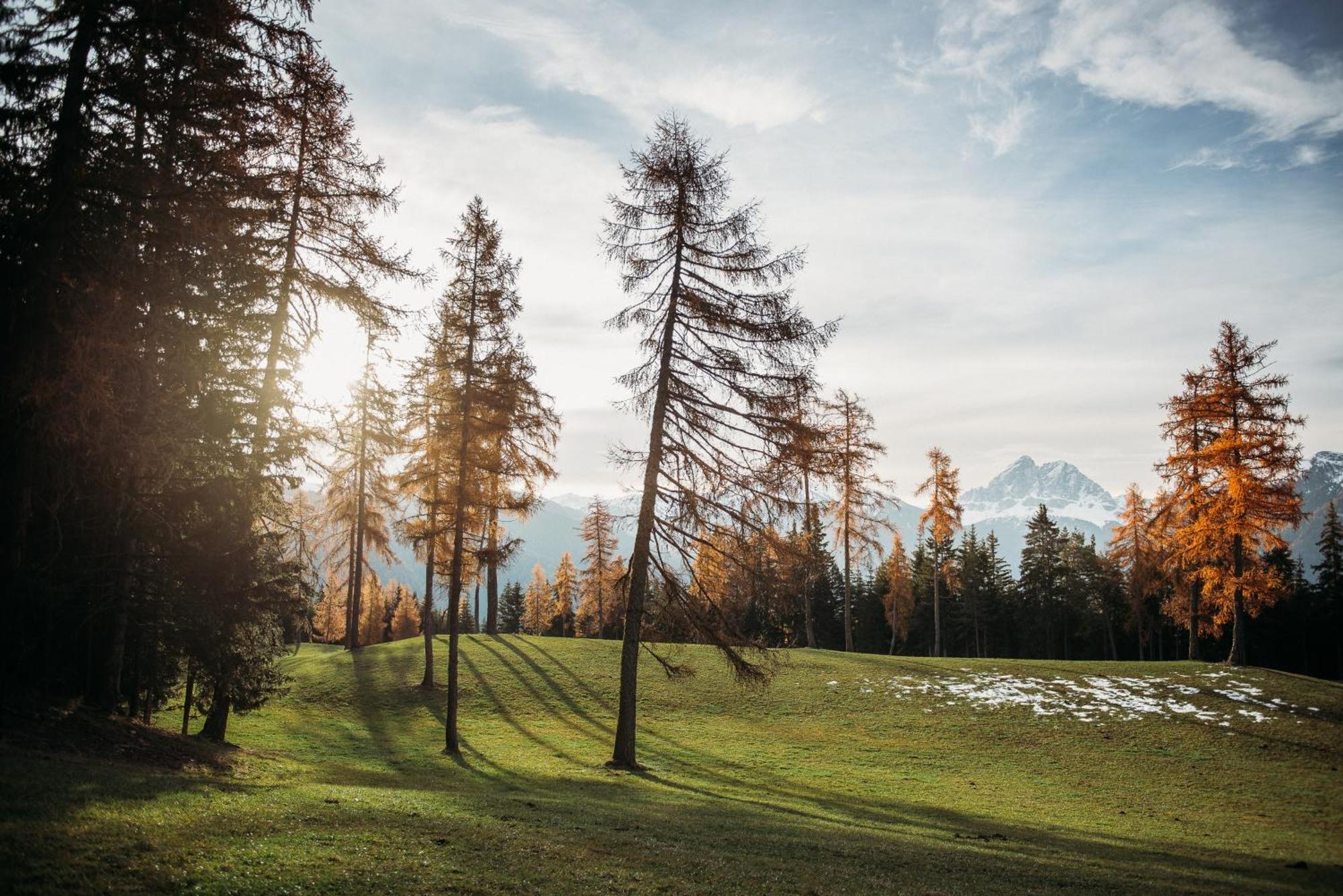 Oberhauser Huette Rodenecker - Luesner Alm 루손 외부 사진