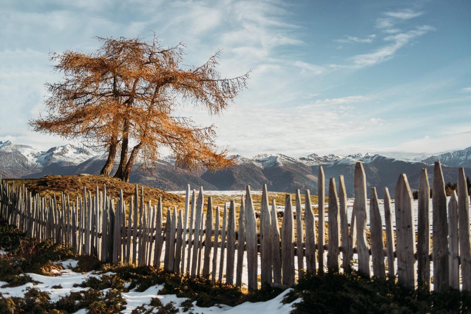 Oberhauser Huette Rodenecker - Luesner Alm 루손 외부 사진