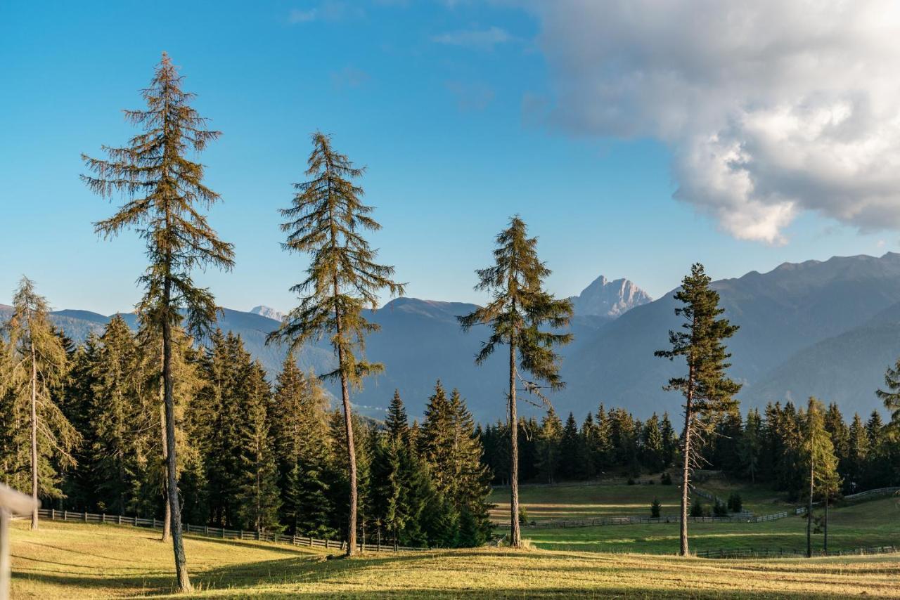 Oberhauser Huette Rodenecker - Luesner Alm 루손 외부 사진