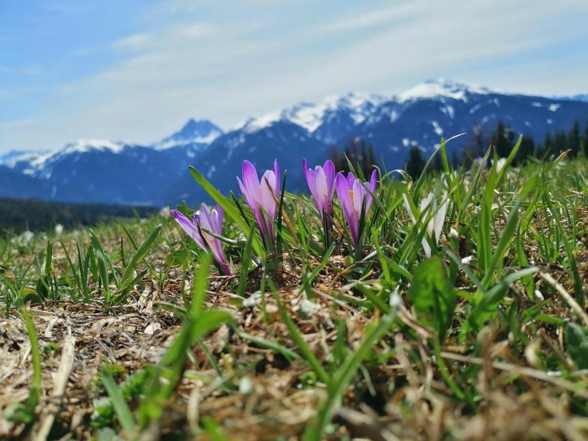 Oberhauser Huette Rodenecker - Luesner Alm 루손 외부 사진